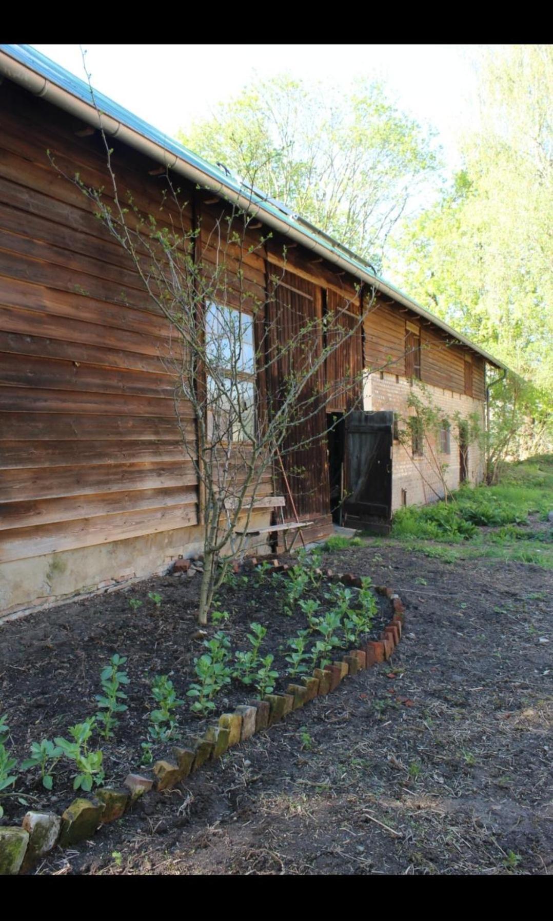 Pauline 3 Apartman Templin Kültér fotó