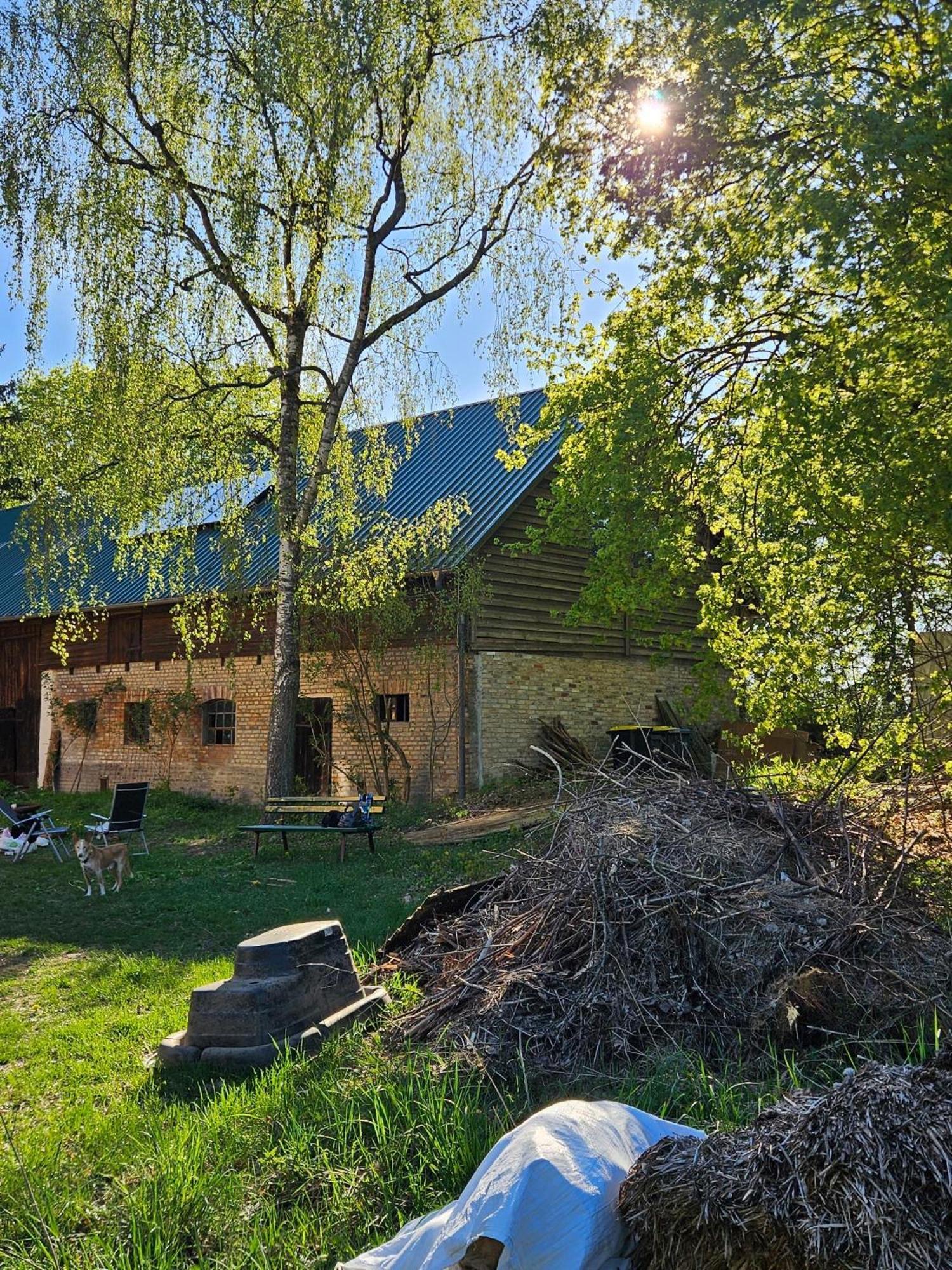 Pauline 3 Apartman Templin Kültér fotó